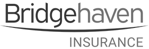 Bridgehaven Insurance