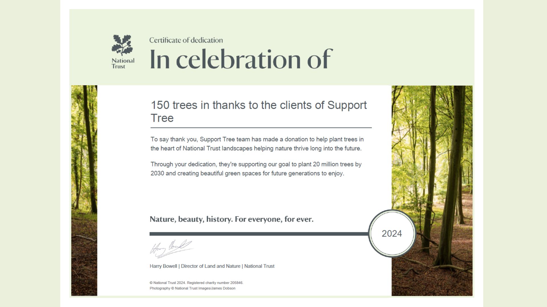 Support Tree 150 Trees Certificate 